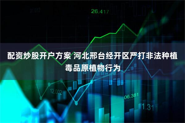 配资炒股开户方案 河北邢台经开区严打非法种植毒品原植物行为